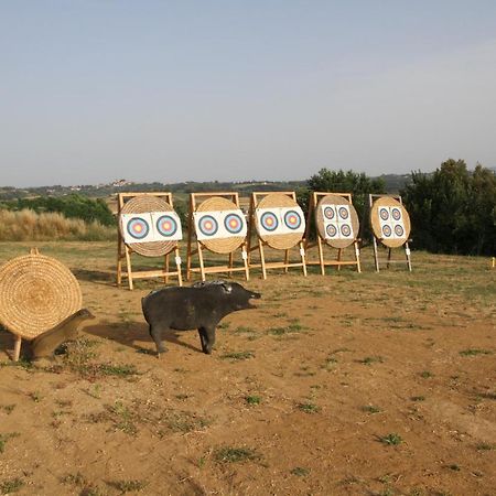 Agriturismo San Martino بونساكو المظهر الخارجي الصورة
